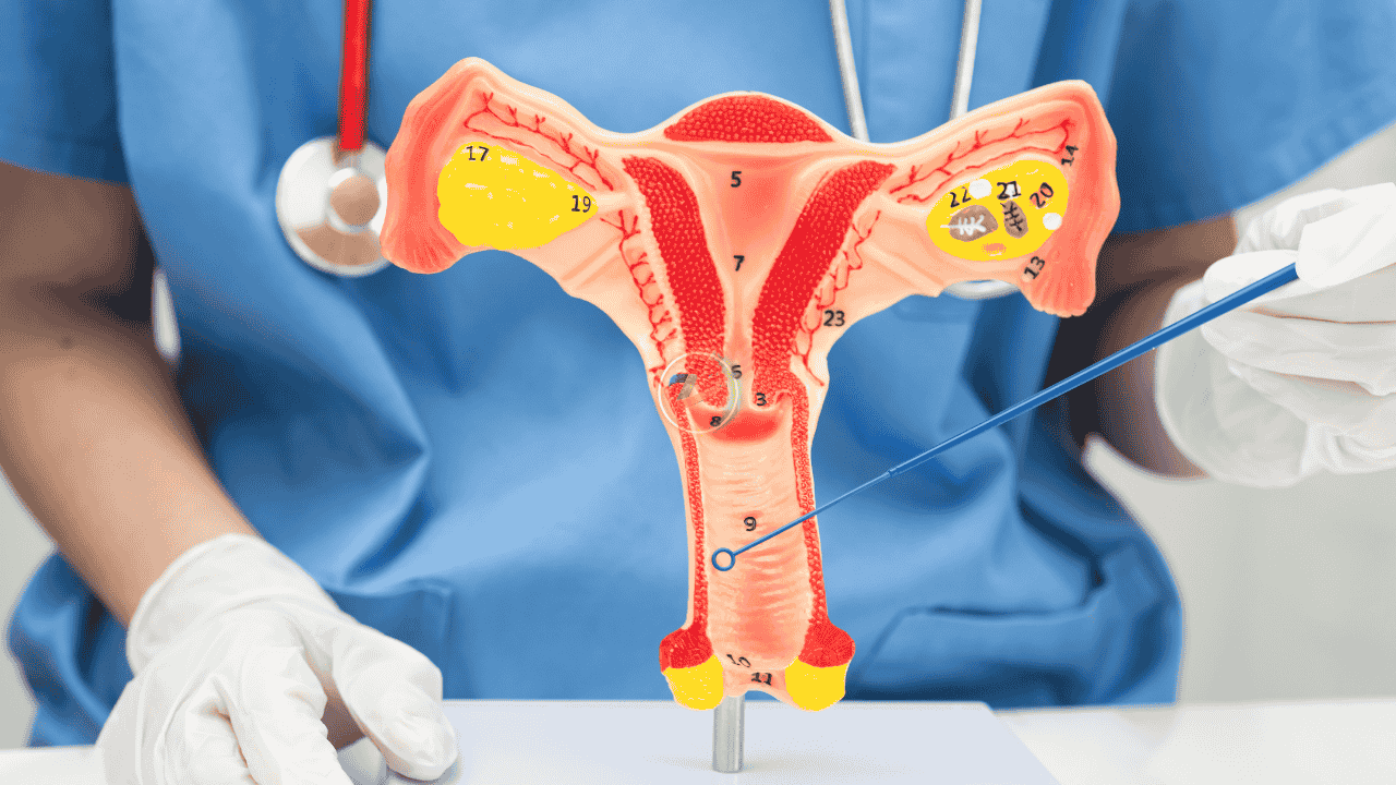 Inilah Fakta Kedalaman Rangsangan Vagina Paling Nikmat yang Dirasakan Perempuan