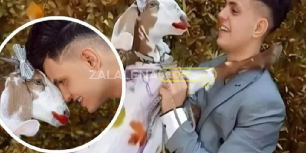 Pria India Menikahi Kambing Usai Gagal Cinta, Fakta atau Hanya Hoaks?