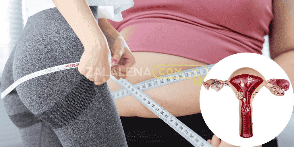 Fakta Ilmiah Vagina Wanita Gemuk dan Pantat Besar