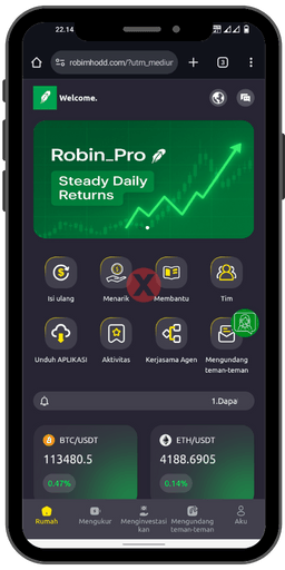 Robin Pro Tawarkan Cuan Instan, Nyatanya Hanya Penipuan Berkedok Investasi Trading Crypto